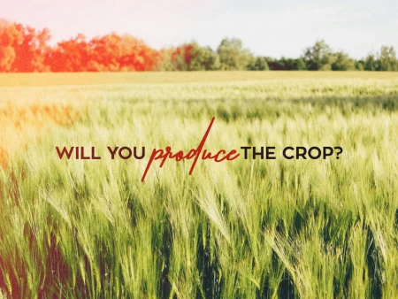 Will You Produce The Crop?
